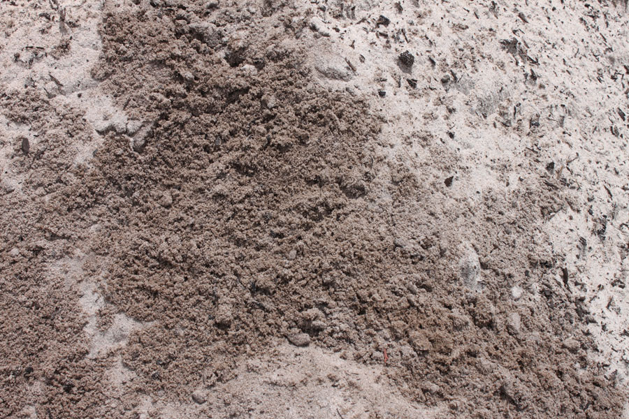 Mulch & Soils DeLand, Orange City, Deltona, DeBary West Volusia Shed