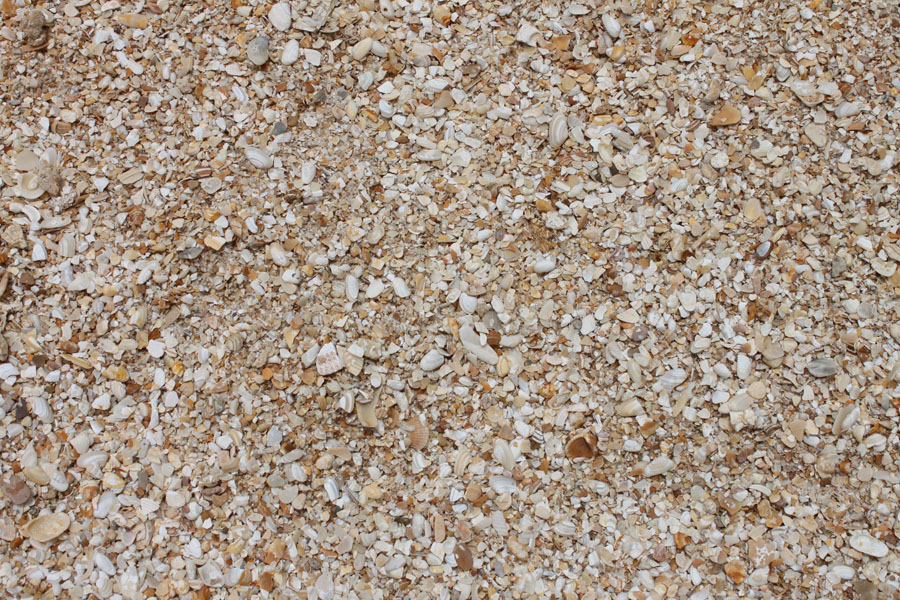 Crushed coquina in a bin at the West Volusia Shed Co. yard in DeLand