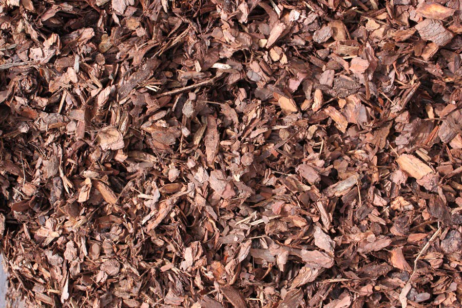 Mini pine bark